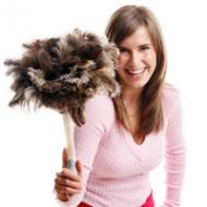 Домашняя пыль опасна для здоровья: избавляемся от пылевых клещей